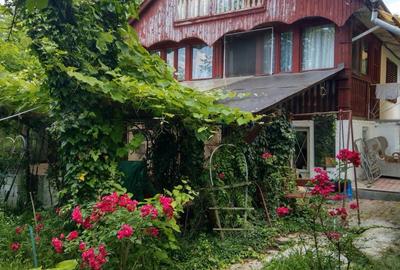 Casă cu 4 camere cu Teren 9800 Mp în Măgura - 8