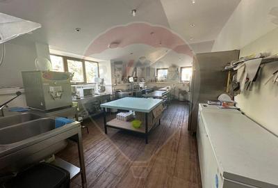 Casa / Vila de inchiriat 6 camere in zona Foisorul de F... Casa / Vila de inchiriat 6 camere in zona Foisorul de F... - 10