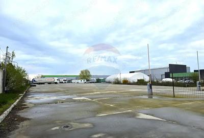 Teren industrial / Platforma betonata Rudeni, deschidere 45 m - 4