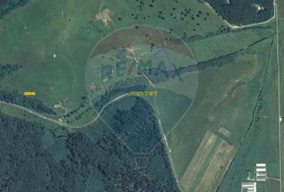 Teren de 10000 mp, în Nord - 3