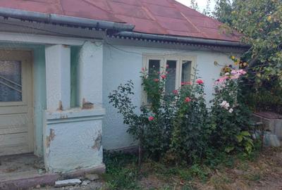 Casă în Jariștea - 1