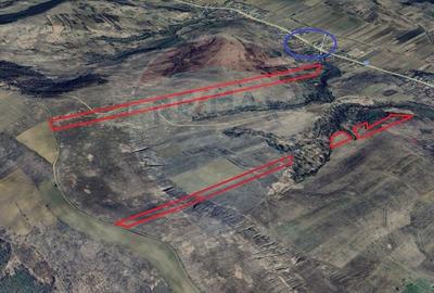 Teren agricol de vanzare Colonesti Bacau - 4