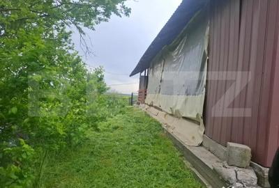 Casă cu 5 camere cu Teren 2300 Mp în Mătăsaru - 11