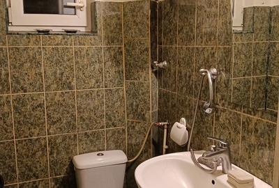 Garsonieră semidecomandată în Dosu Bricii - 3