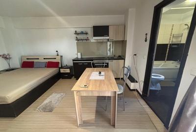 Apartament 1 camera in zona Palas - 2