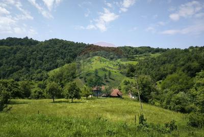 Teren intravilan de vis in Mun?ii Apuseni, curent + izv... - 5