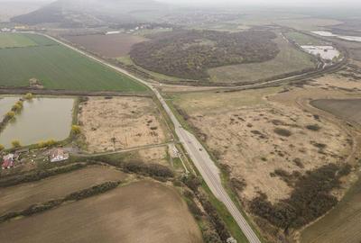 Teren extravilan in Ineu - 4