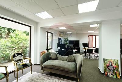 Vanzare Spatiu Comercial / Birou, Str. Popa Tatu -Cismigiu, Investitie - 7