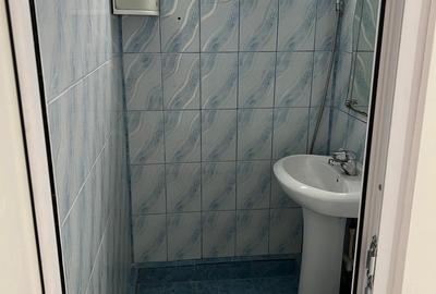 Complex Salaj, Tunsu Petre - 2