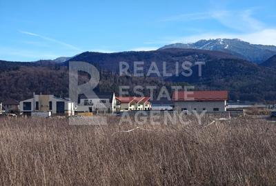 Vânzare, teren intravilan, 890 mp, Cristian, Brașov - 2