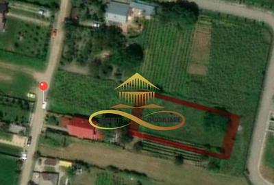 Teren de vanzare in Barati Bacau - 6