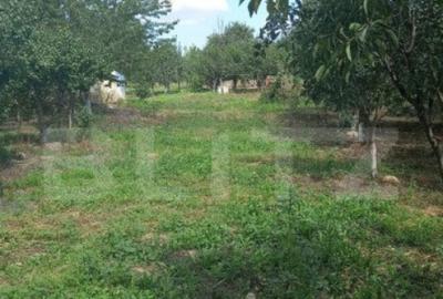 Teren in Viile SM cu casa din vaioaga, 1442mp - 3