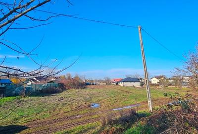 Teren de vanzare Snagov - 11