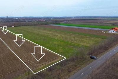 Teren de 4300 mp, în Medieșu Aurit - 4