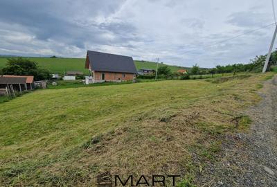 Teren intravila Sura Mare 1000mp - 3