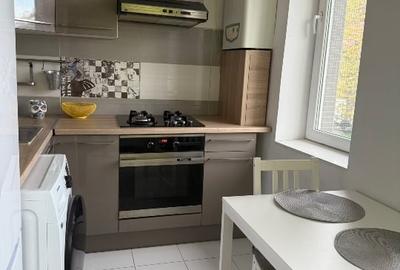 Apartament 2 camere + curte proprie, zona Viilor / Parcul Carol Apartament 2 camere + curte proprie, zona Viilor / Parcul Carol - 8