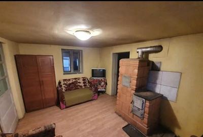Casă individuală cu 2 camere cu Teren 460 Mp în Leș - 1