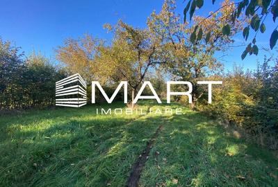 Teren extravilan 3200mp zona Tropinii Vechi - 2