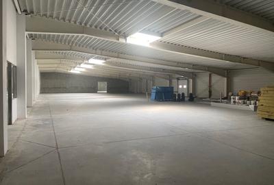 Hala de vanzare, situata in Sanandrei, judetul Timis - 9