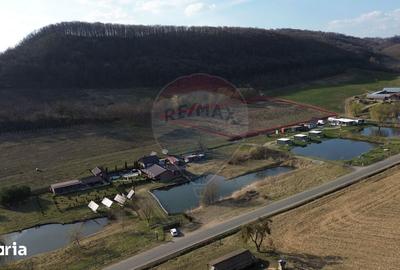 Teren de 7000 mp, în Laslea - 15