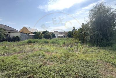 Cladire 12 incaperi, Teren 3.457 mp Str.Iuliu Maniu Nr.13 -Carei- Jud. Satu Mare - 9