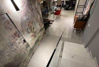 REA1012750 Duplex Domenii parter I Spatiu Comercial I Residential - 2