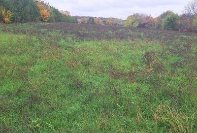 OAZA DE LINISTE SI RAFINAMENT LA MALUL LACULUI - 4