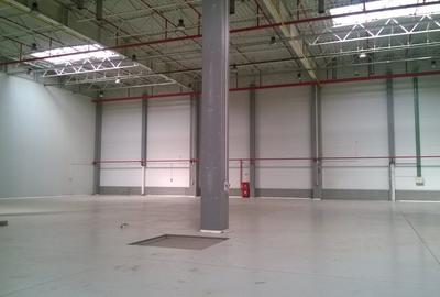 Depozitare logistica hala industriala arhiva farmaceutic anvelope autorizat PSI - 4