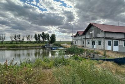 Pescărie cu punct de colectare–teren privat 2 hectare intravilan–Lacul Sinoe - 1