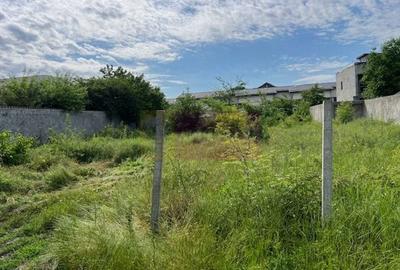 Teren Ghencea- Dantelei- Darvari. - 3