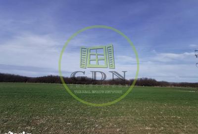 Teren de 21496 mp, în Saca - 4