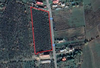 Teren de 10000 mp, în Băicoi - 1