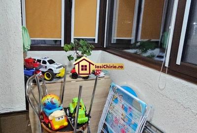 Apartament 2 camere Valea Lupului - 12