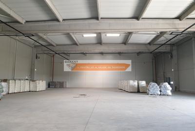 Spațiu industrial, de 1,800 mp, în Bradu - 6
