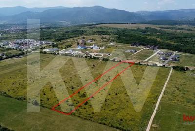 Teren intravilan 5100 mp, Cisnadie - ideal pentru investitie