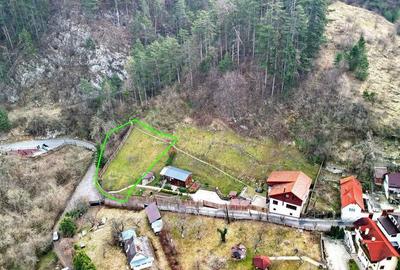 Teren Intravilan Rezidential Teren Intravilan Rezidential - 1