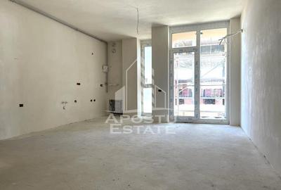 Apartamente cu 2 camere, predare la cheie, Torontalului - 12