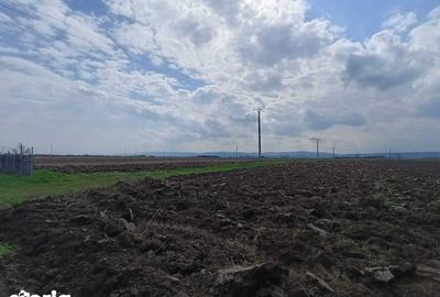 Teren de 6000 mp, în Săucești - 3