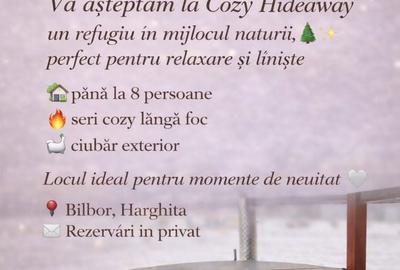 Casă cu 4 camere în Bilbor - 4