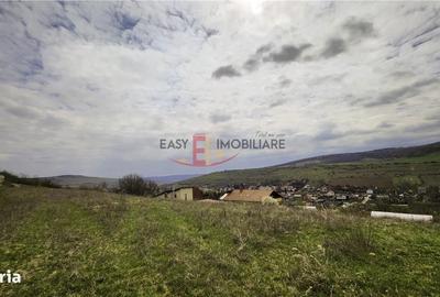 Spațiu comercial, în Bărdești - 3