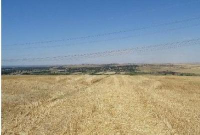 Teren extravilan Cernavoda, ID: R2755634 - 2