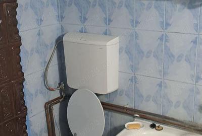 Casa de vanzare Dumitresti, Olt - 4