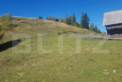 Super Oferta 5.2 euro/mp. Teren de vanzare in zona Arieseni - 5