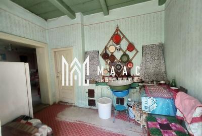 Casa 3 camere | 2225 MP Teren | Ticusu Nou | - 11