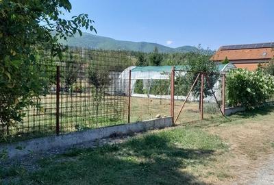 Teren de 1000 mp, în Sadu