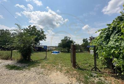 Casă individuală cu 3 camere cu Canalizare în Sud - 8