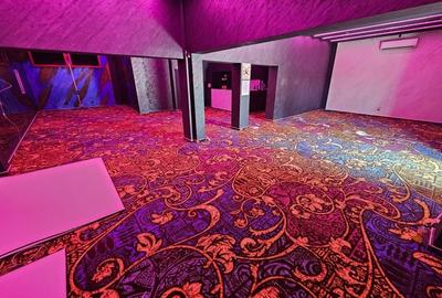 Oportunitate de investiție Spațiu comercial Voluntari - Colentina A3 - 14