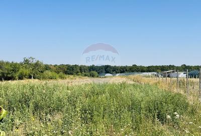 Teren Construcții intravilan de 6210 mp, în Apateu - 4