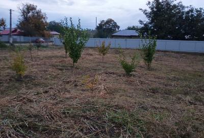 Carligele, jud. Vrancea - 1