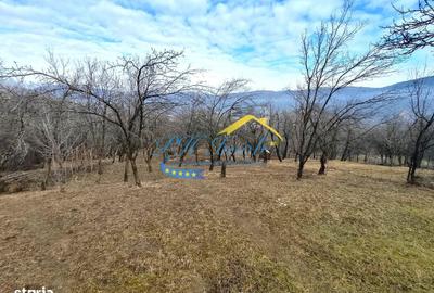 Teren de 5037 mp, în Gura Beliei - 1